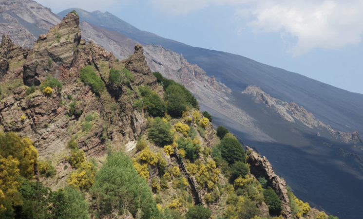 Biodiversità, 29 specie floristiche si trovano soltanto sull’Etna