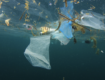 Più plastica che pesci, Marevivo “Non dobbiamo aspettare il 2050”