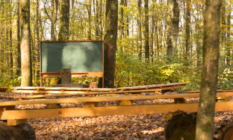 Didattica all’aperto in un bosco urbano nel progetto di Milano-Bicocca