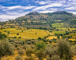 Beni culturali, 76 milioni dal Pnrr per la rigenerazione del paesaggio rurale