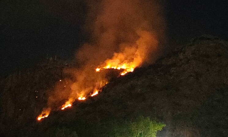 Incendi, ancora fiamme sulle Madonie. Domani Patuanelli a Palermo