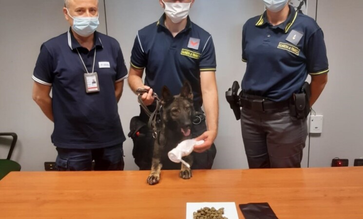 Aeroporto Palermo, droga scoperta nelle valigie di due passeggeri