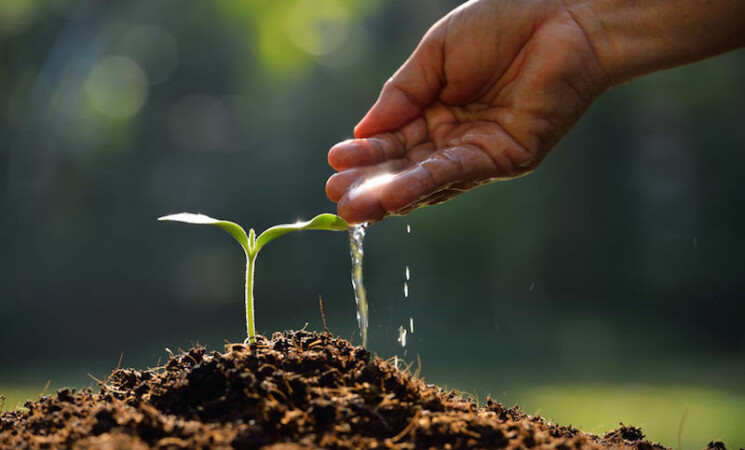 Agricoltura, laghetti aziendali, arriva bando per 350 progetti