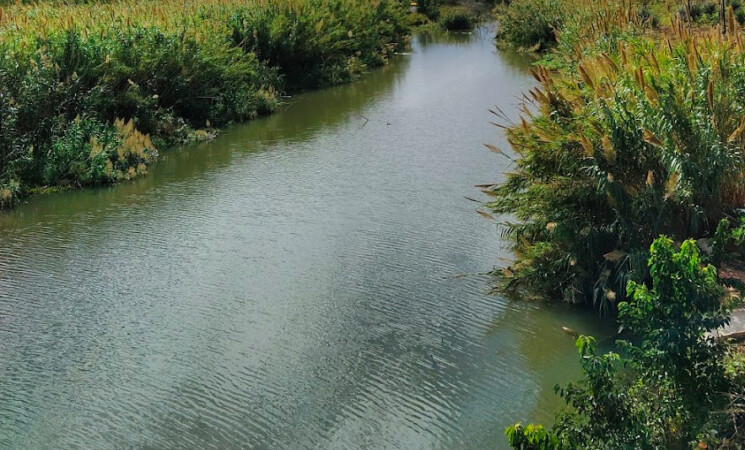 Inquinamento fiume Eleuterio, 6 titolari frantoi denunciati