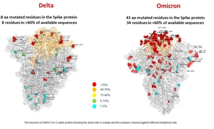 Omicron 2, sintomi, vaccini, tutto quello che c’è da sapere