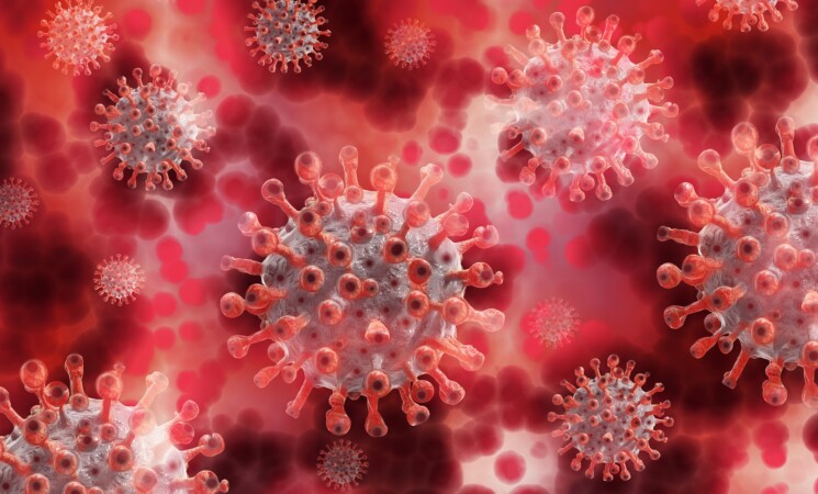 Langya, il nuovo virus scoperto in Cina