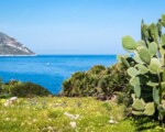 Vacanze di luglio e agosto, la Sicilia è la 4a meta più prenotata