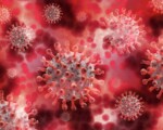 Stratus, la nuova variante Covid: sintomi, diffusione e cosa sapere