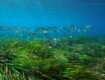 Sicilia 2025: solo 17 spiagge Bandiera Blu su 1637 km di costa