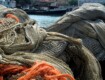 Pesca sostenibile in Sicilia: 3 bandi da 7,8 milioni per innovazione, transizione ecologica e competitività
