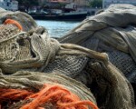 Pesca sostenibile in Sicilia: 3 bandi da 7,8 milioni per innovazione, transizione ecologica e competitività