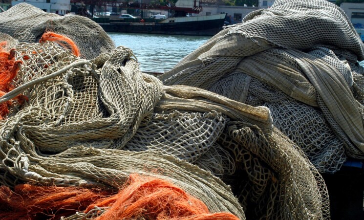 Pesca sostenibile in Sicilia: 3 bandi da 7,8 milioni per innovazione, transizione ecologica e competitività