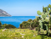 Turismo in Sicilia, altri 20 milioni per hotel e B&B: la Regione amplia i contributi