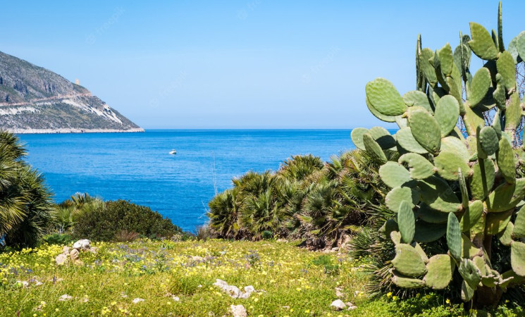 Turismo in Sicilia, altri 20 milioni per hotel e B&B: la Regione amplia i contributi
