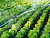 Sicilia orientale: più acqua per l’agricoltura, ma restano criticità nelle infrastrutture idriche