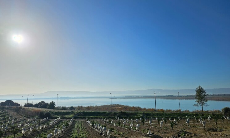 Sicilia a secco ma nella diga di Lentini l’acqua c’è: peccato sia inutilizzabile