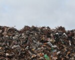 Sicilia, rifiuti indifferenziati all’estero: senza termovalorizzatori, solo discariche piene ed extra-costi