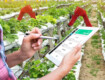 Credito d’imposta per corsi di formazione in agricoltura: come accedere e usufruirne