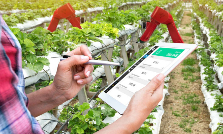 Credito d’imposta per corsi di formazione in agricoltura: come accedere e usufruirne