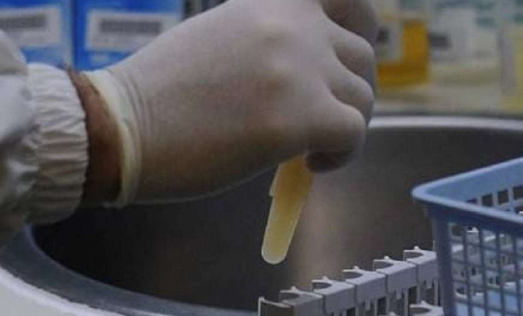 Lebbra torna in Europa: casi segnalati in Romania e Croazia dopo decenni