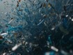 Sicilia, mari invasi dalla plastica: il 94,5% dei rifiuti è plastica galleggiante
