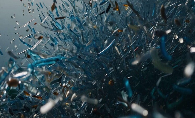 Sicilia, mari invasi dalla plastica: il 94,5% dei rifiuti è plastica galleggiante