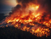 Incendi in Sicilia, record negativo nel 2025: l’Isola prima in Italia per superfici bruciate