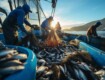 Tonno rosso e pesca in Sicilia: tra quote, oligopoli e crisi dei pescatori