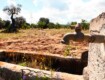 Webuild propone impianti di dissalazione “pro bono” per risolvere l’emergenza idrica in Sicilia