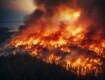 Incendi in Sicilia 2025: oltre 52.000 ettari bruciati