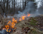 Catania brucia ancora: 50 incendi domati dai Vigili del Fuoco