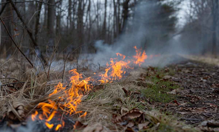 Catania brucia ancora: 50 incendi domati dai Vigili del Fuoco