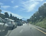 Autostrada A19, proposta corsia straordinaria a Bagheria per ridurre le code
