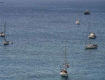 Flotilla per Gaza intercettata da Israele: altre nove barche fermate