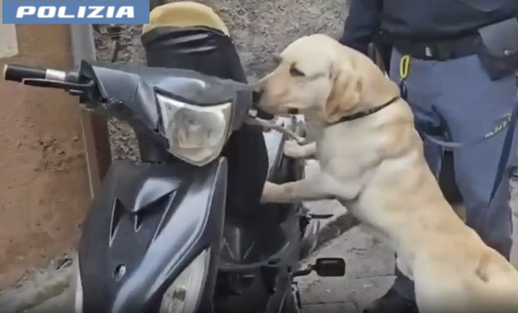 Maxi controlli della polizia a Catania: droga e munizioni sequestrate a San Cristoforo