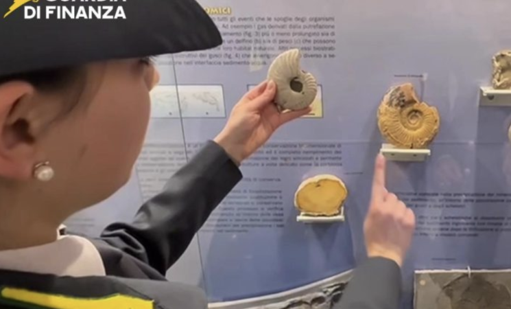 Reperti fossili sequestrati a Palermo: la Guardia di Finanza blocca 17 pezzi di dinosauri e ammoniti